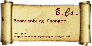 Brandenburg Csongor névjegykártya